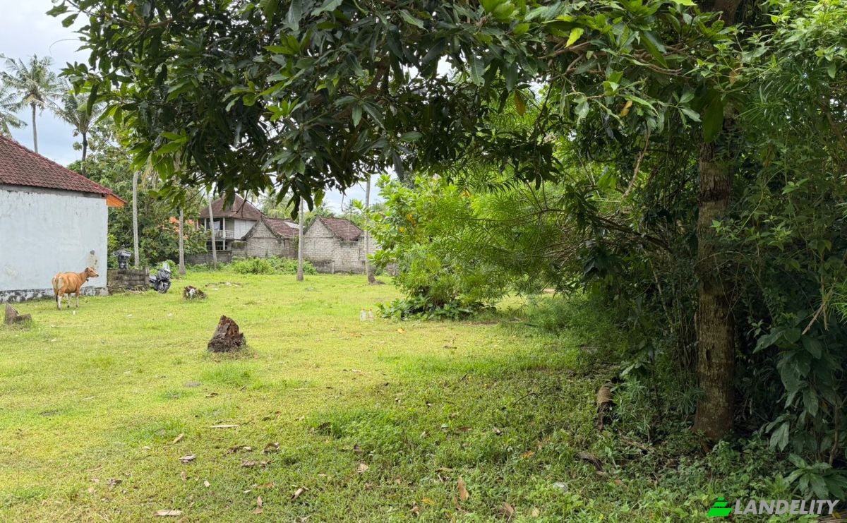 Land Lot for Sale Jalan Jungutbatu Kangin Jungut Batu Nusa Penida, Jungutbatu, Klungkung Regency, Bali, Indonesia, Kec Nusa Penida, Kabupaten Klungkung, Bali 80771. Photo 15