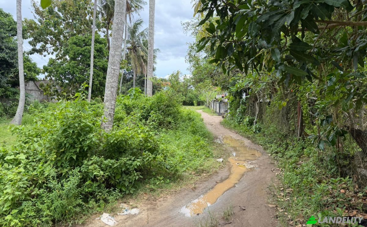 Land Lot for Sale Jalan Jungutbatu Kangin Jungut Batu Nusa Penida, Jungutbatu, Klungkung Regency, Bali, Indonesia, Kec Nusa Penida, Kabupaten Klungkung, Bali 80771. Photo 2