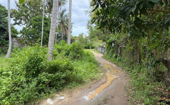 Land Lot for Sale Jalan Jungutbatu Kangin Jungut. Photo#2