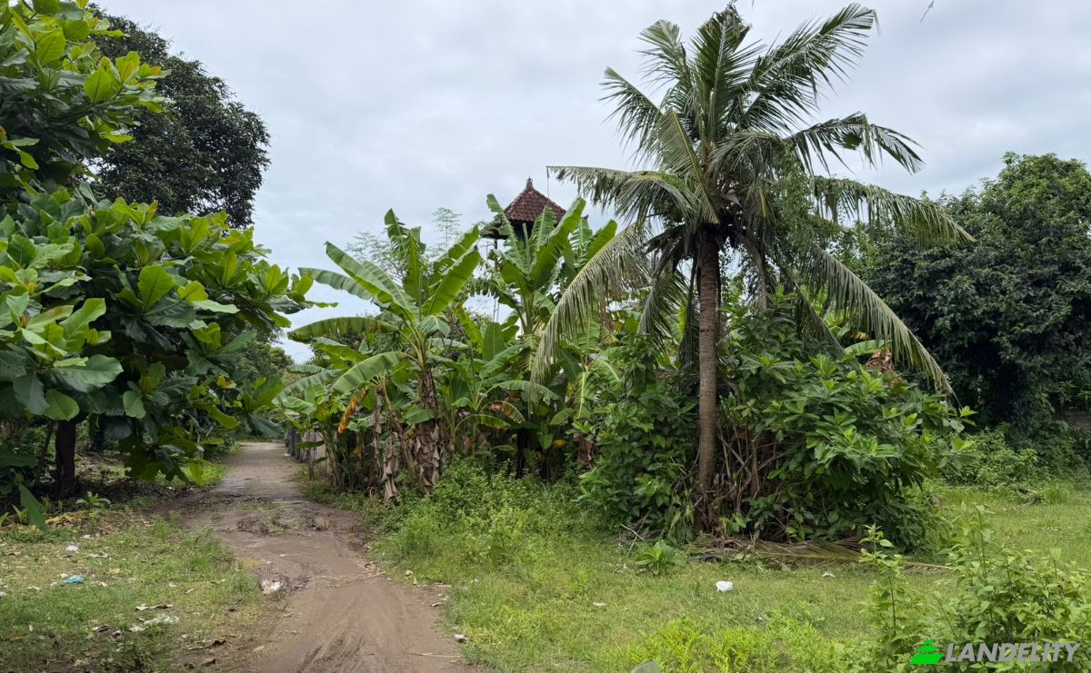 Land Lot for Sale Jalan Jungutbatu Kangin Jungut Batu Nusa Penida, Jungutbatu, Klungkung Regency, Bali, Indonesia, Kec Nusa Penida, Kabupaten Klungkung, Bali 80771. Photo 3