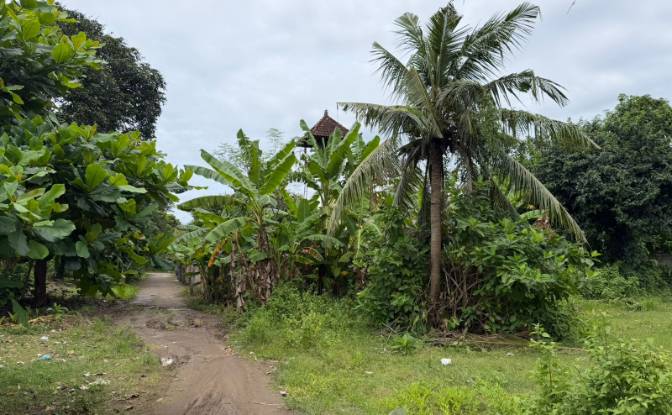 Land Lot for Sale Jalan Jungutbatu Kangin Jungut. Photo#3