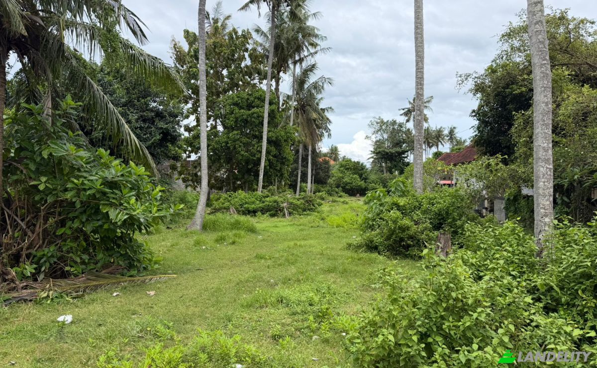 Land Lot for Sale Jalan Jungutbatu Kangin Jungut Batu Nusa Penida, Jungutbatu, Klungkung Regency, Bali, Indonesia, Kec Nusa Penida, Kabupaten Klungkung, Bali 80771. Photo 4
