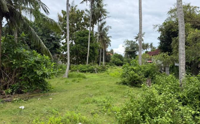 Land Lot for Sale Jalan Jungutbatu Kangin Jungut. Photo#4