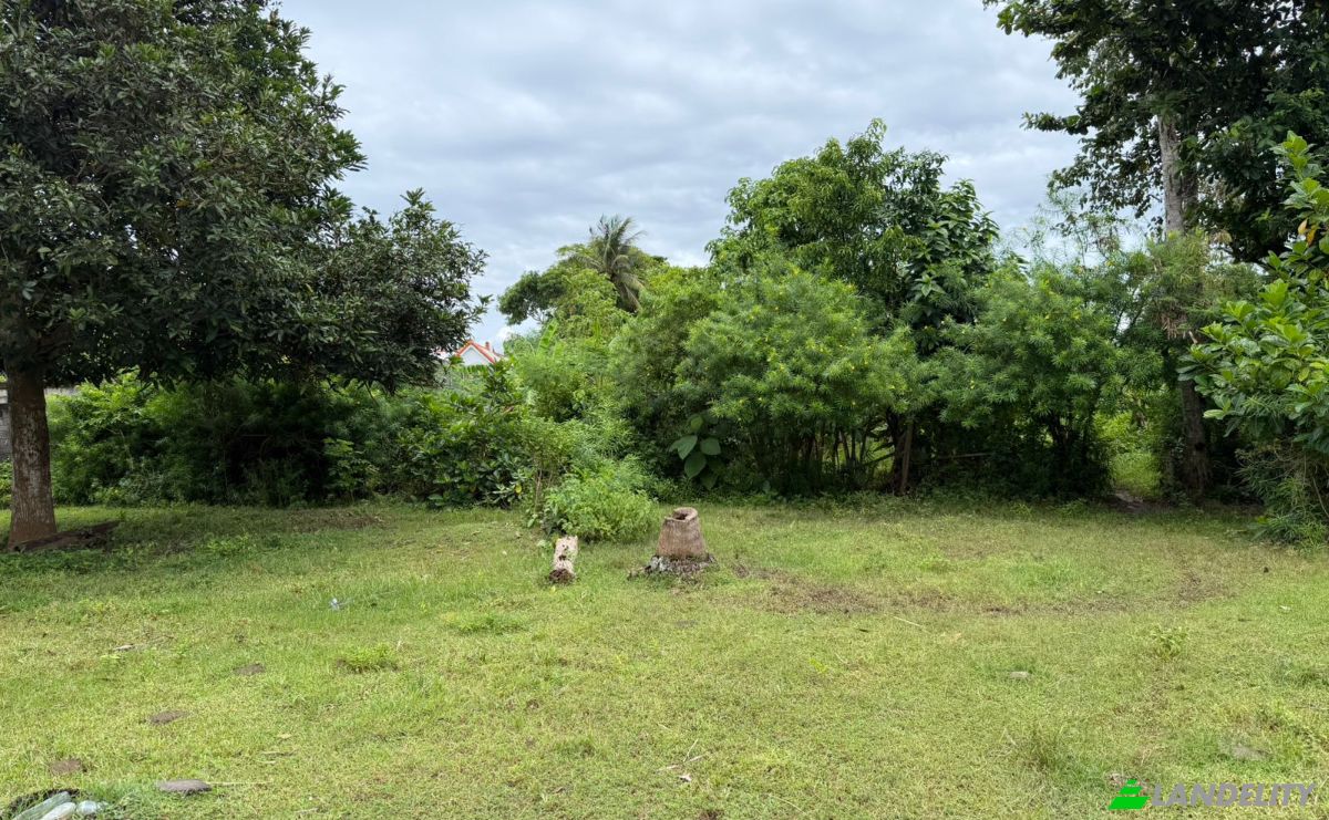 Land Lot for Sale Jalan Jungutbatu Kangin Jungut Batu Nusa Penida, Jungutbatu, Klungkung Regency, Bali, Indonesia, Kec Nusa Penida, Kabupaten Klungkung, Bali 80771. Photo 8