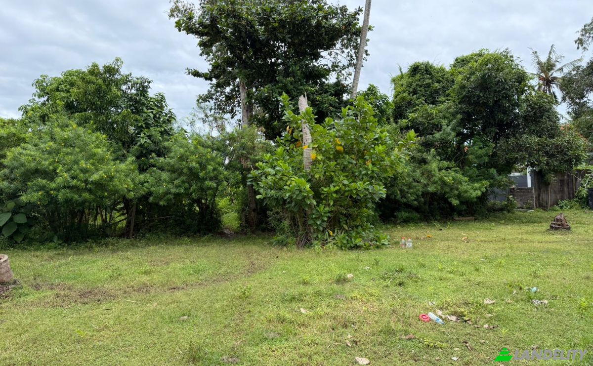 Land Lot for Sale Jalan Jungutbatu Kangin Jungut Batu Nusa Penida, Jungutbatu, Klungkung Regency, Bali, Indonesia, Kec Nusa Penida, Kabupaten Klungkung, Bali 80771. Photo 9