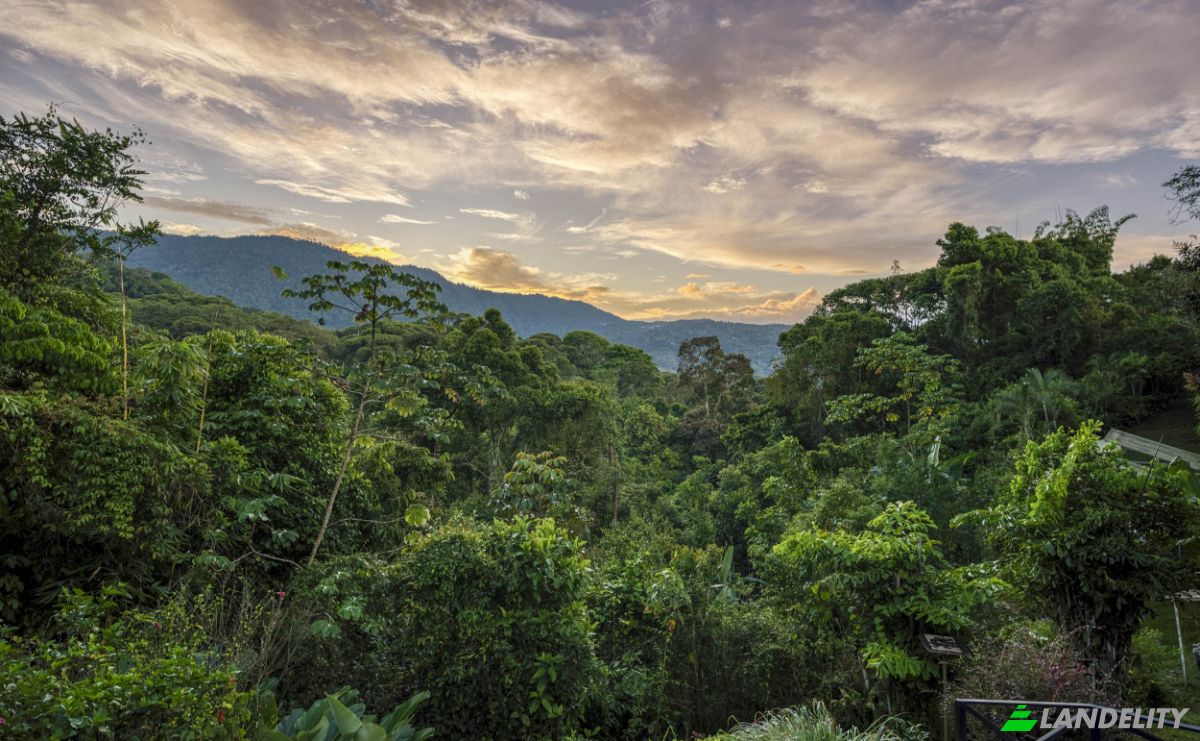 Casa de una sola familia en venta La Carretera Ceiba, San José, Pérez Zeledón, Costa Rica, Platanillo. Foto 5