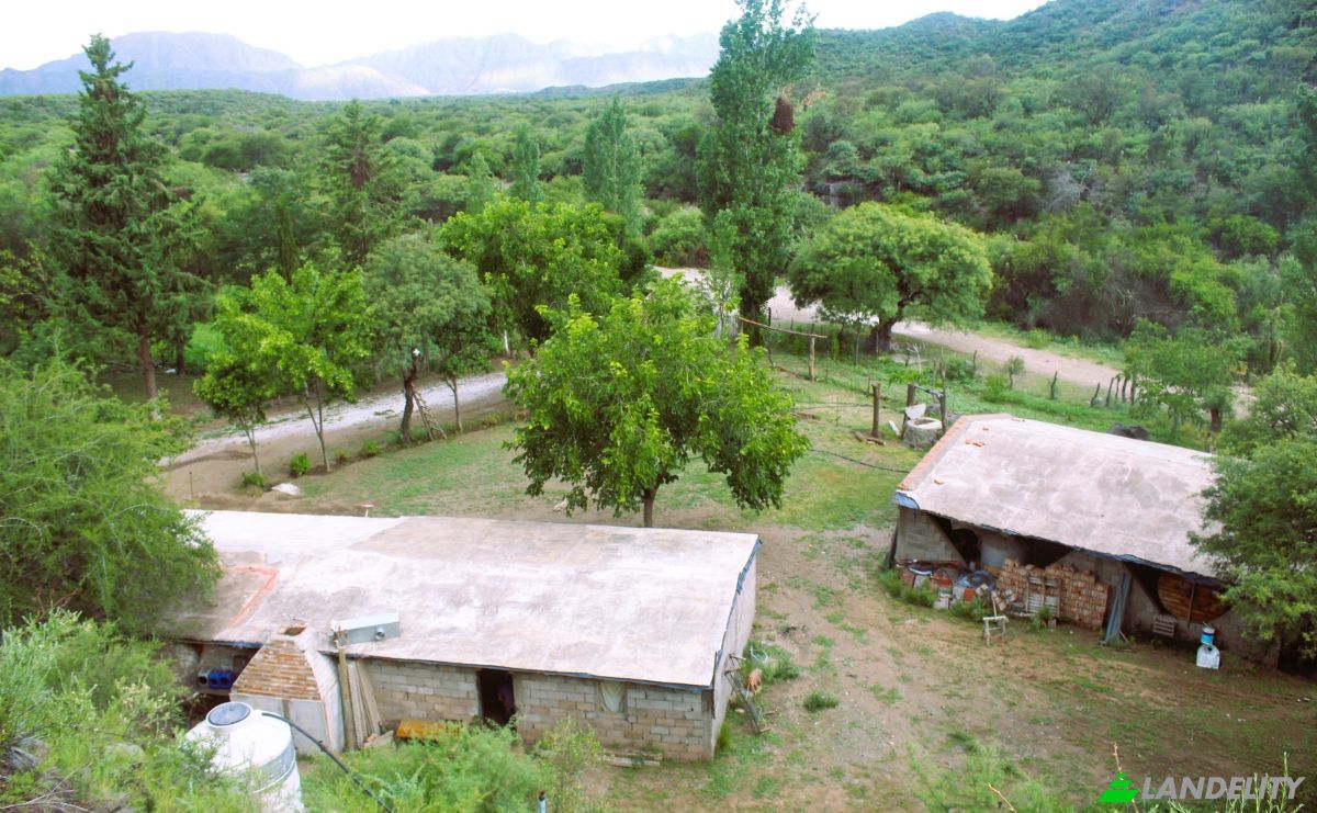 Farm/Ranch for Sale Las Juntas, Valle Fertil Department, San Juan Province, Argentina. Photo 10