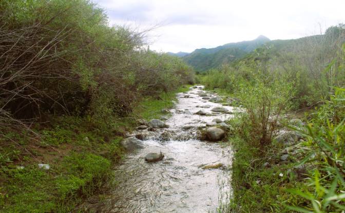 Farm/Ranch for Sale Las Juntas. Photo#14 Farm/Ranch for Sale Las Juntas. Photo#14