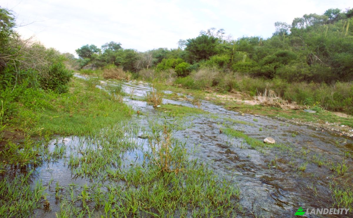 Farm/Ranch for Sale Las Juntas, Valle Fertil Department, San Juan Province, Argentina. Photo 16