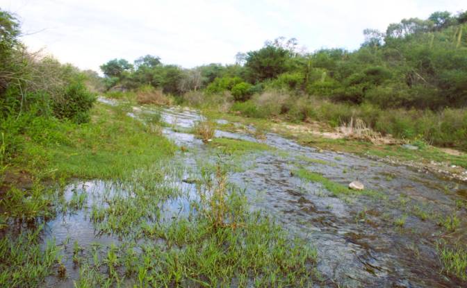 Farm/Ranch for Sale Las Juntas. Photo#16 Farm/Ranch for Sale Las Juntas. Photo#16