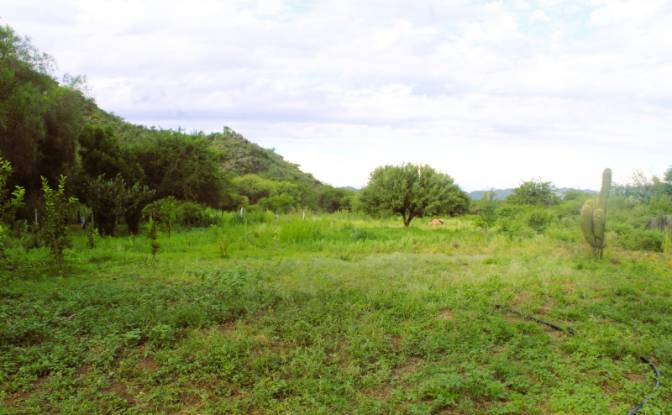 Farm/Ranch for Sale Las Juntas. Photo#17 Farm/Ranch for Sale Las Juntas. Photo#17