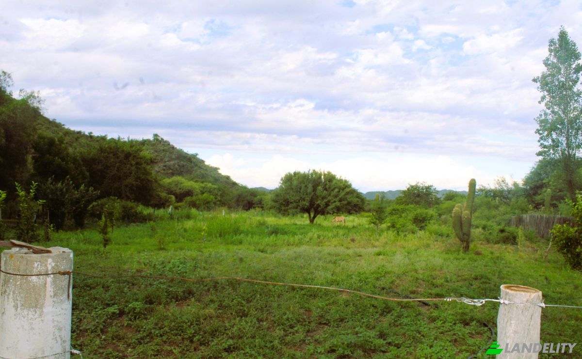 Farm/Ranch for Sale Las Juntas, Valle Fertil Department, San Juan Province, Argentina. Photo 18