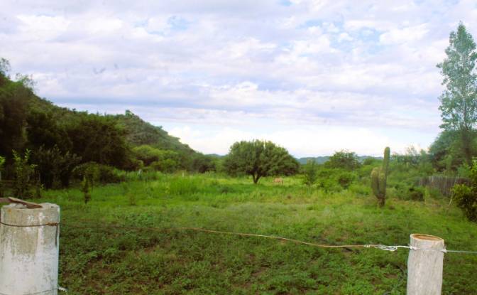 Farm/Ranch for Sale Las Juntas. Photo#18 Farm/Ranch for Sale Las Juntas. Photo#18