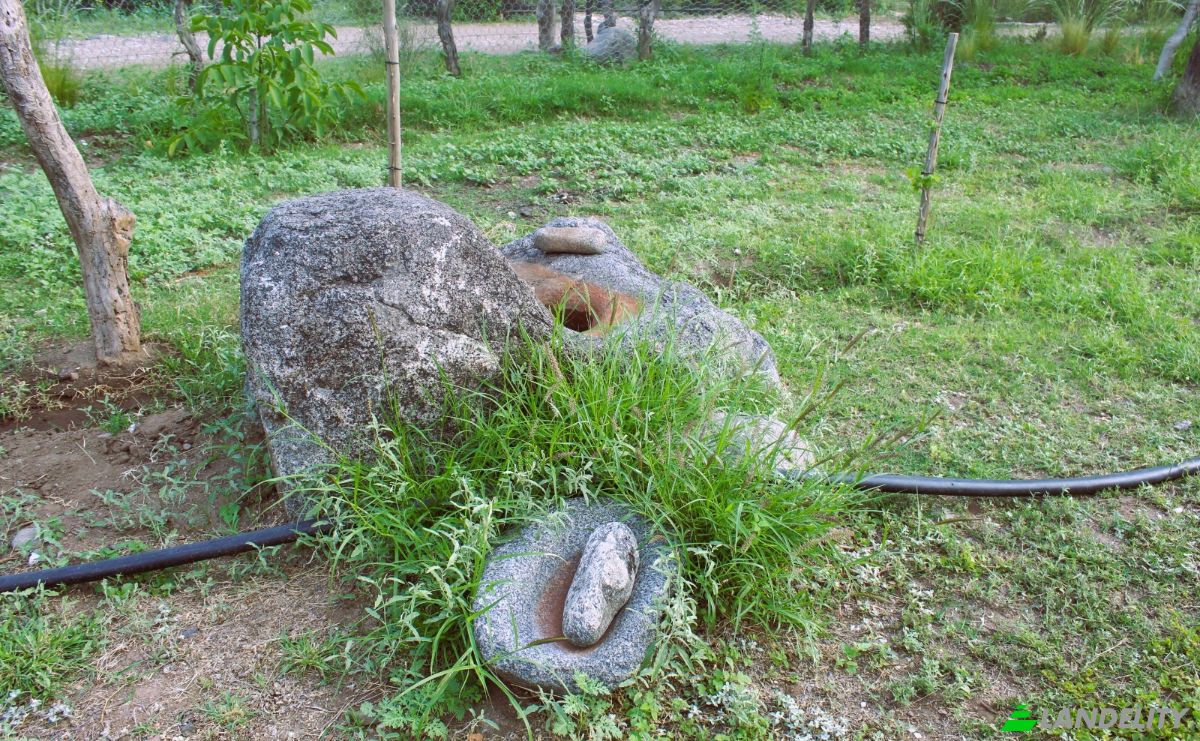 Farm/Ranch for Sale Las Juntas, Valle Fertil Department, San Juan Province, Argentina. Photo 19