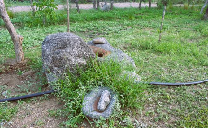 Farm/Ranch for Sale Las Juntas. Photo#19 Farm/Ranch for Sale Las Juntas. Photo#19
