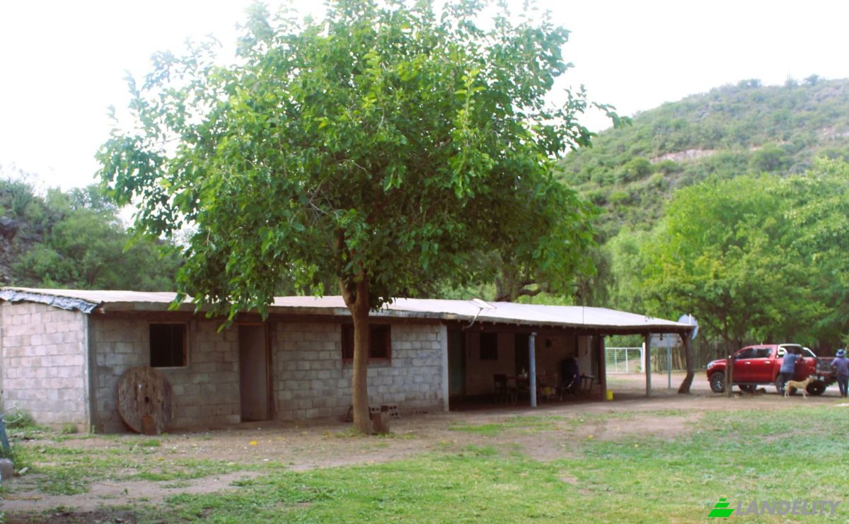 Farm/Ranch for Sale Las Juntas, Valle Fertil Department, San Juan Province, Argentina. Photo 20