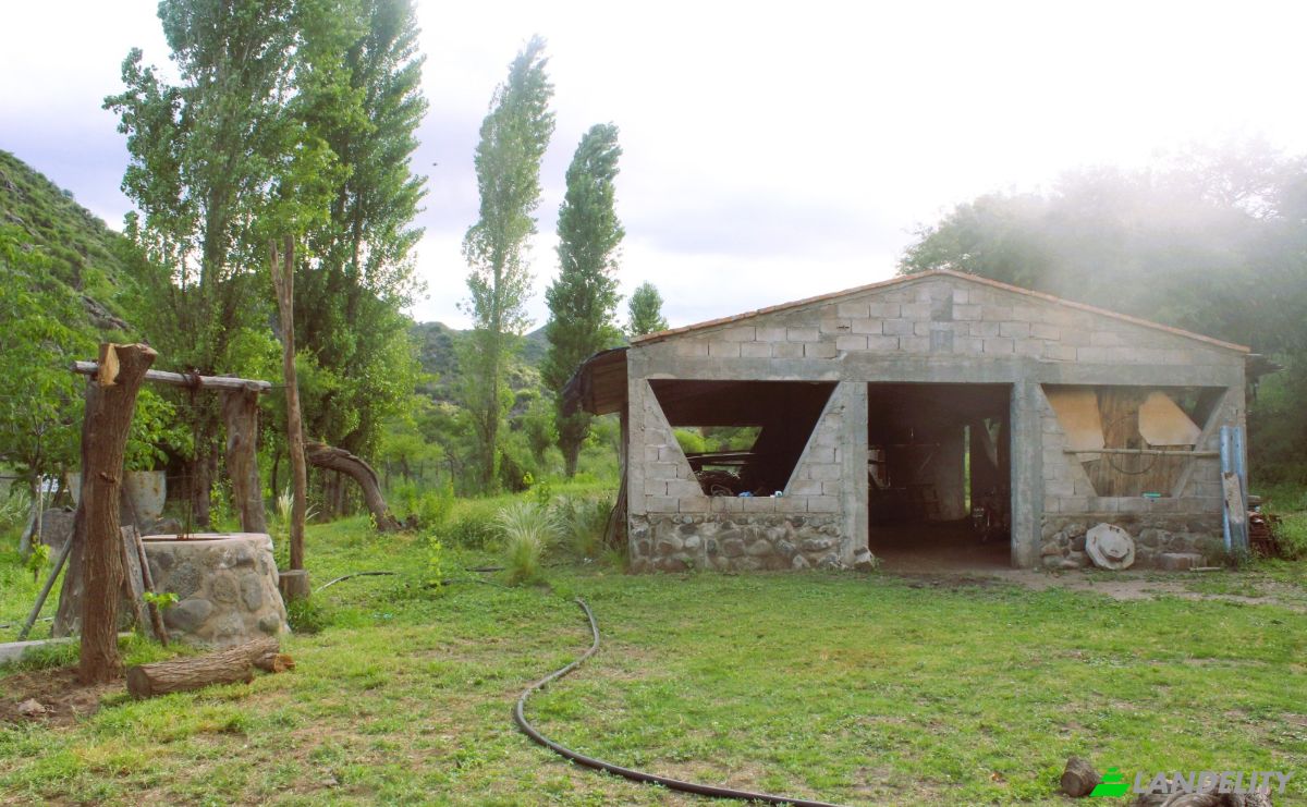 Farm/Ranch for Sale Las Juntas, Valle Fertil Department, San Juan Province, Argentina. Photo 21