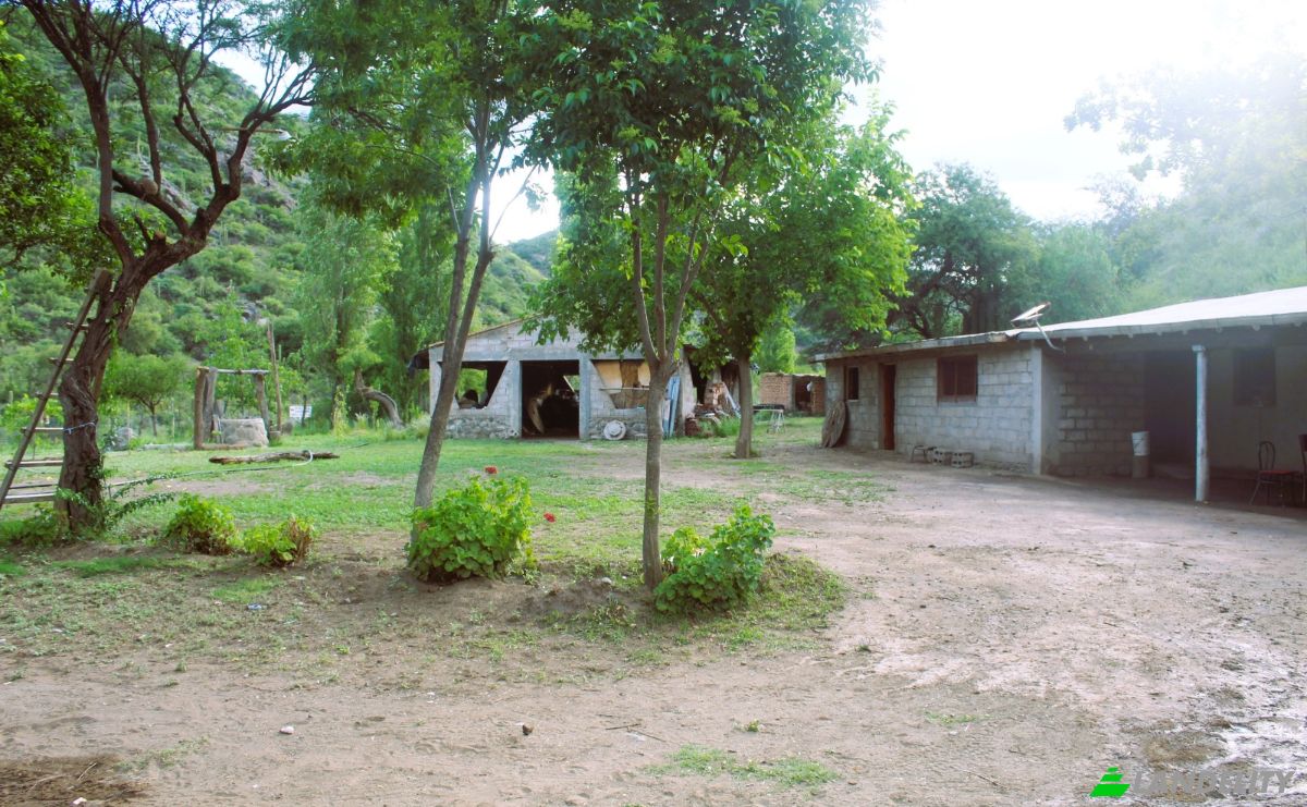 Farm/Ranch for Sale Las Juntas, Valle Fertil Department, San Juan Province, Argentina. Photo 22