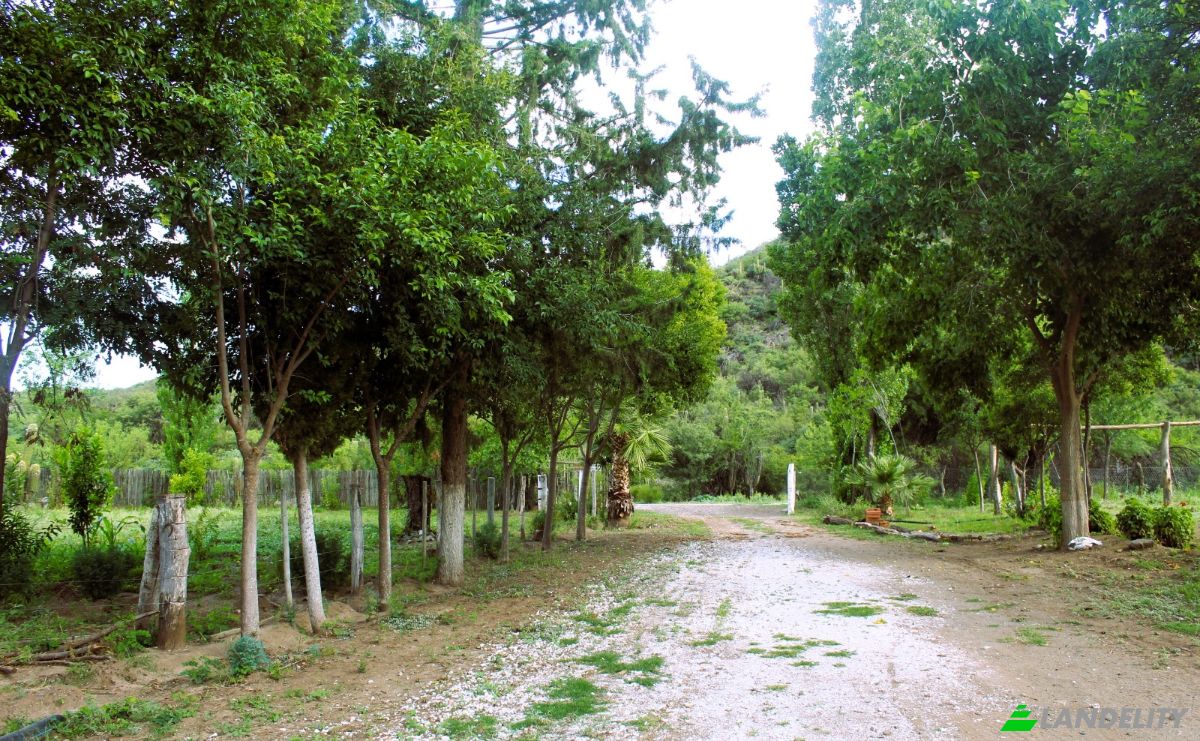 Farm/Ranch for Sale Las Juntas, Valle Fertil Department, San Juan Province, Argentina. Photo 23