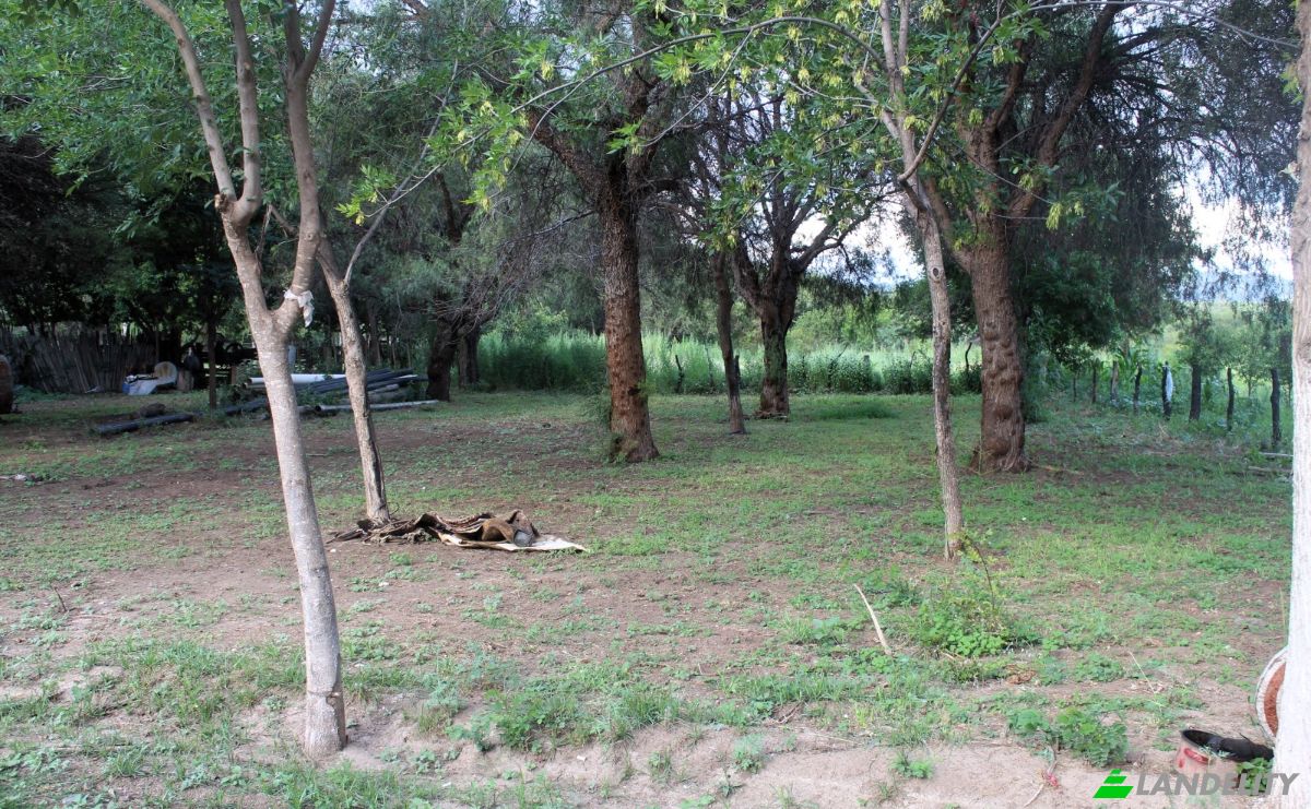 Farm/Ranch for Sale Las Juntas, Valle Fertil Department, San Juan Province, Argentina. Photo 24