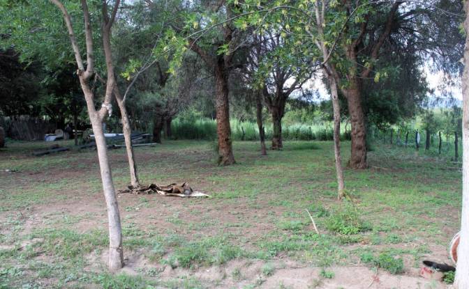 Farm/Ranch for Sale Las Juntas. Photo#24 Farm/Ranch for Sale Las Juntas. Photo#24