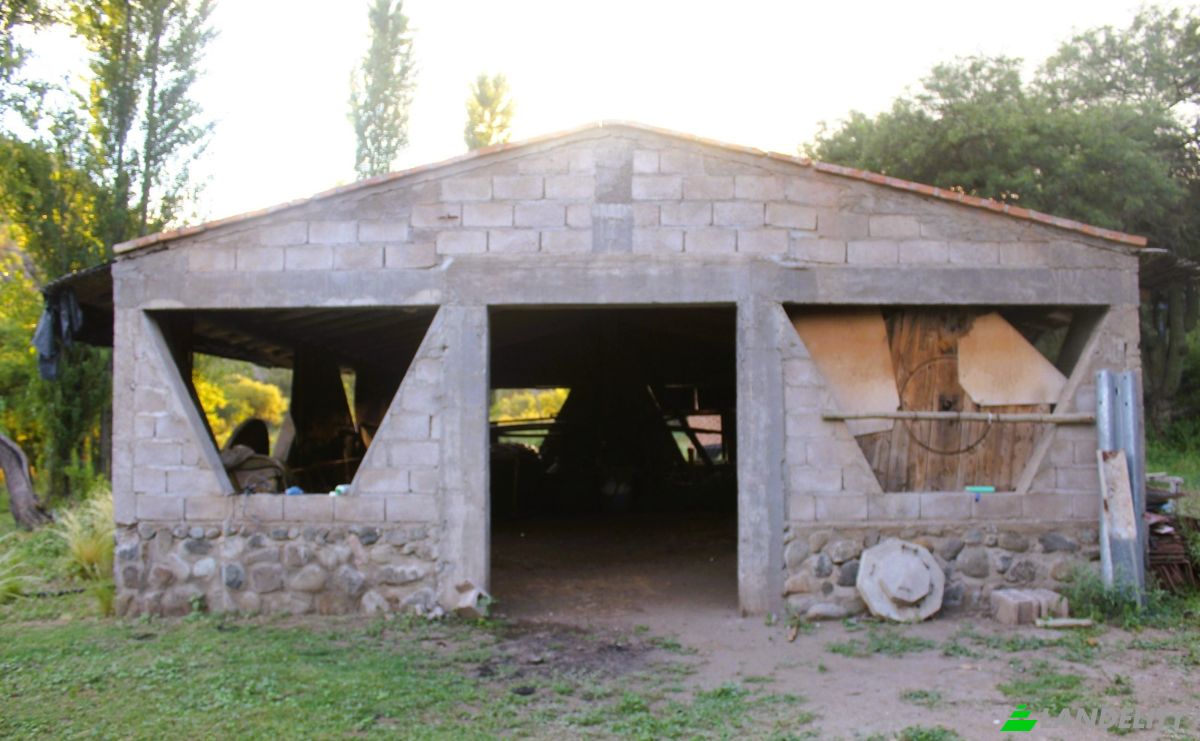 Farm/Ranch for Sale Las Juntas, Valle Fertil Department, San Juan Province, Argentina. Photo 3