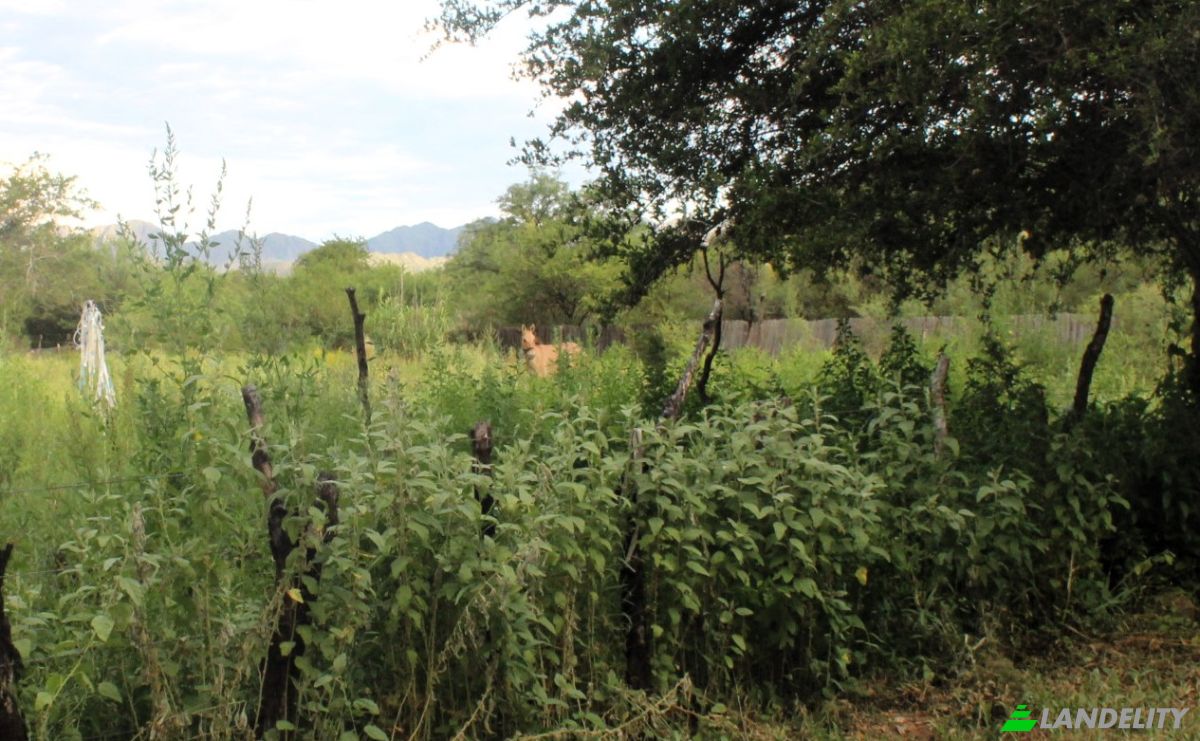 Farm/Ranch for Sale Las Juntas, Valle Fertil Department, San Juan Province, Argentina. Photo 4