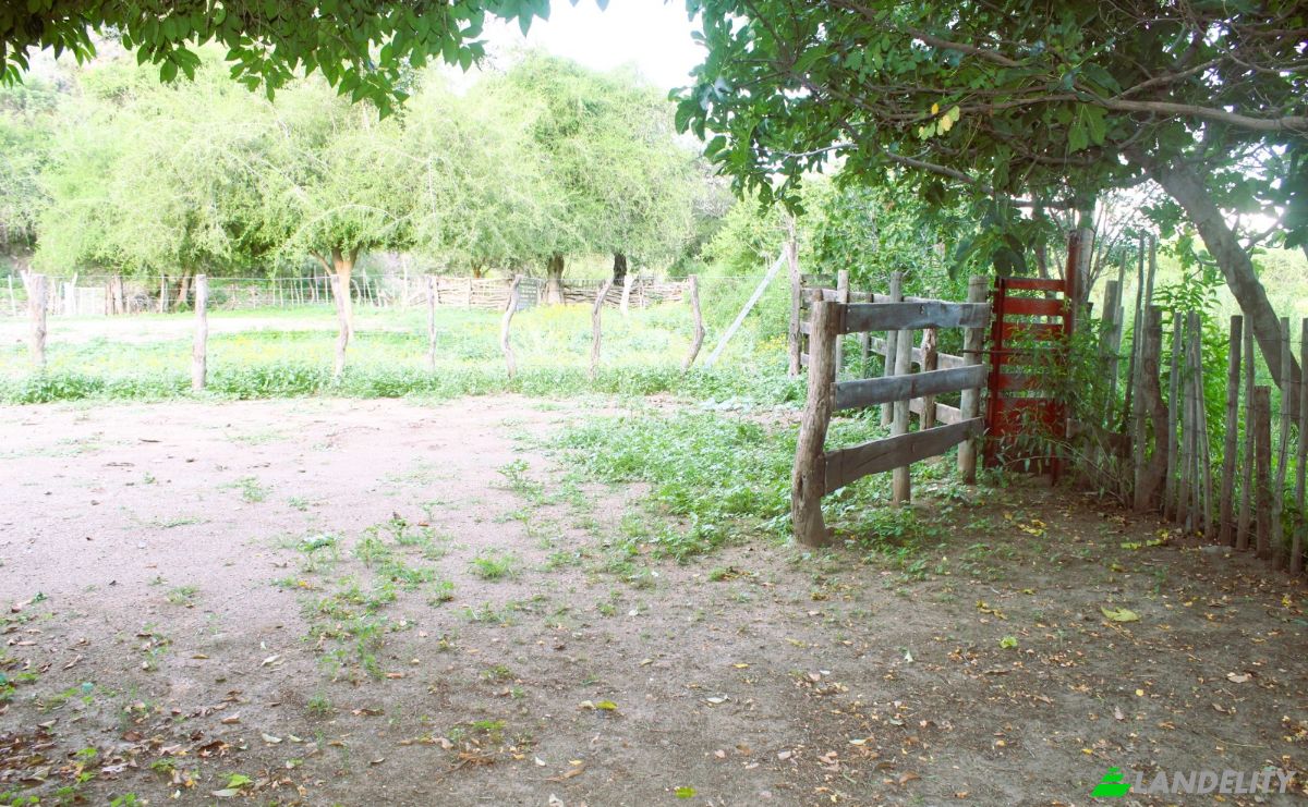 Farm/Ranch for Sale Las Juntas, Valle Fertil Department, San Juan Province, Argentina. Photo 5