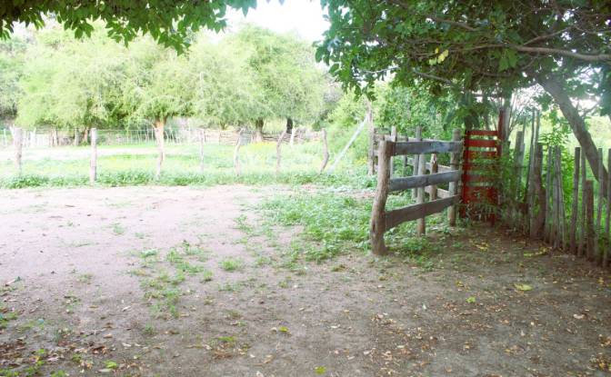 Farm/Ranch for Sale Las Juntas. Photo#5 Farm/Ranch for Sale Las Juntas. Photo#5