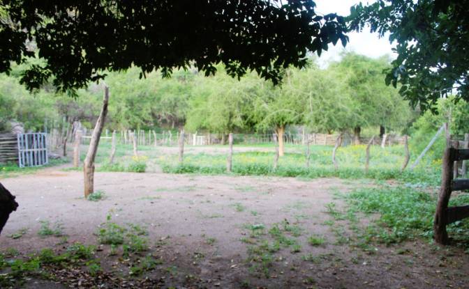 Farm/Ranch for Sale Las Juntas. Photo#6 Farm/Ranch for Sale Las Juntas. Photo#6
