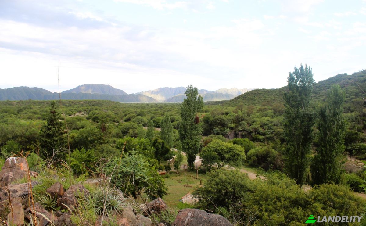 Farm/Ranch for Sale Las Juntas, Valle Fertil Department, San Juan Province, Argentina. Photo 7