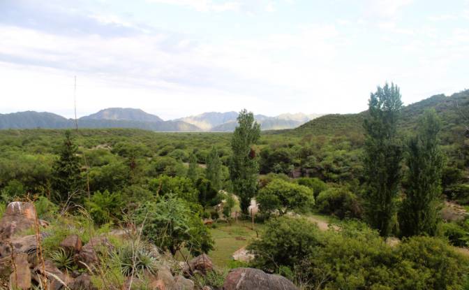 Farm/Ranch for Sale Las Juntas. Photo#7 Farm/Ranch for Sale Las Juntas. Photo#7