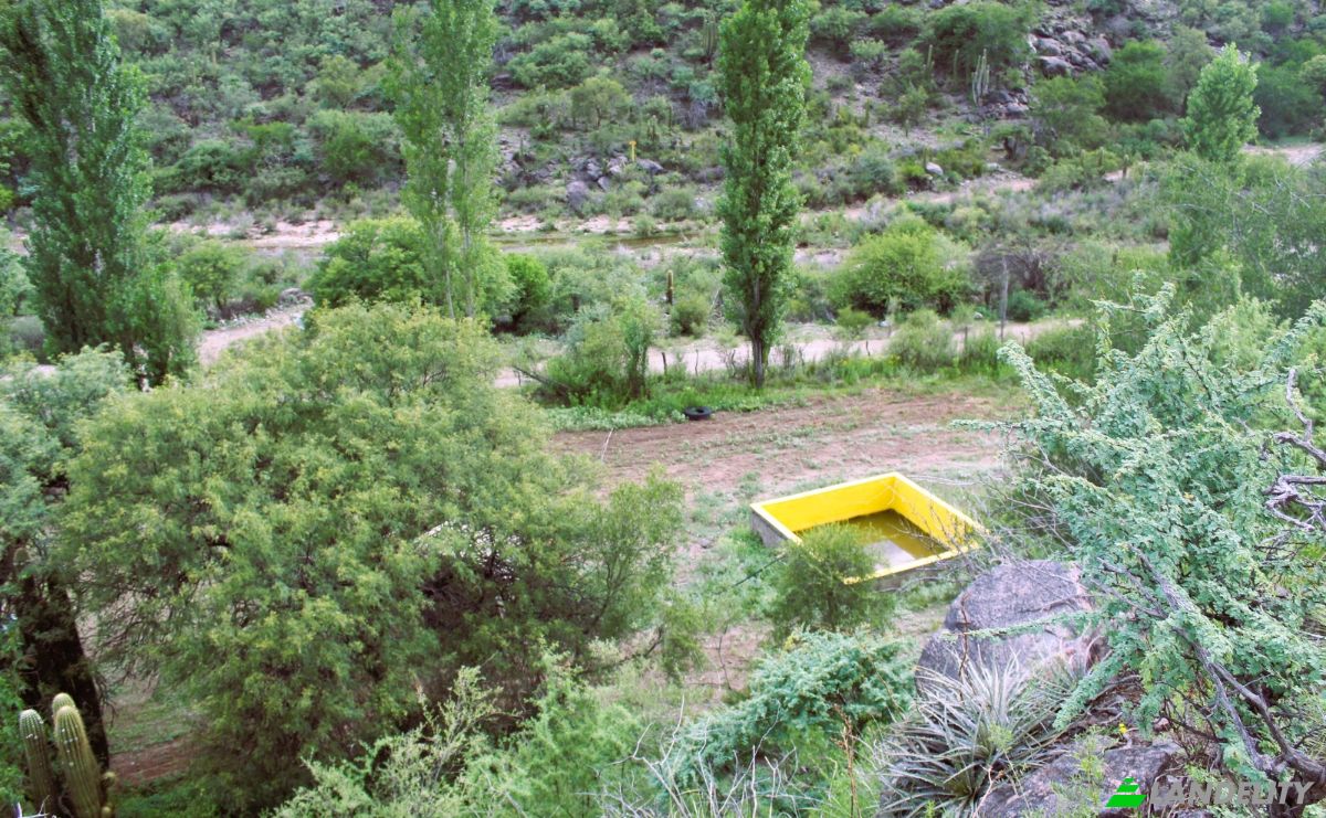 Farm/Ranch for Sale Las Juntas, Valle Fertil Department, San Juan Province, Argentina. Photo 8