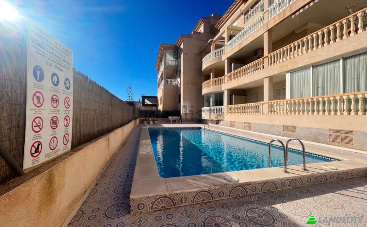 Apartment for Sale C Nicolas de Bussi, Orihuela, Torrevieja, Alicante, Valencian Community, Spain. Photo 14