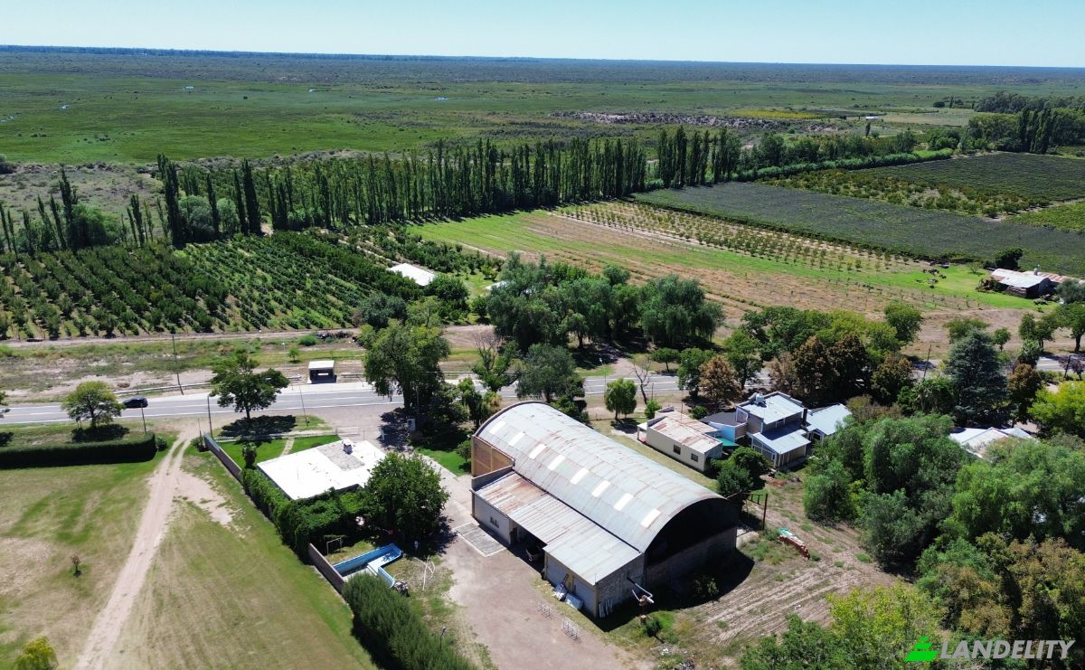 Investing/Development for Sale RN143, Mendoza, Goudge, San Rafael Department, Mendoza Province, Argentina. Photo 1