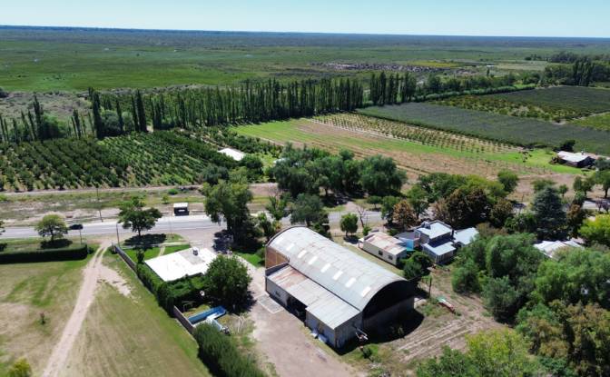 Investing/Development for Sale - Goudge, Argentina