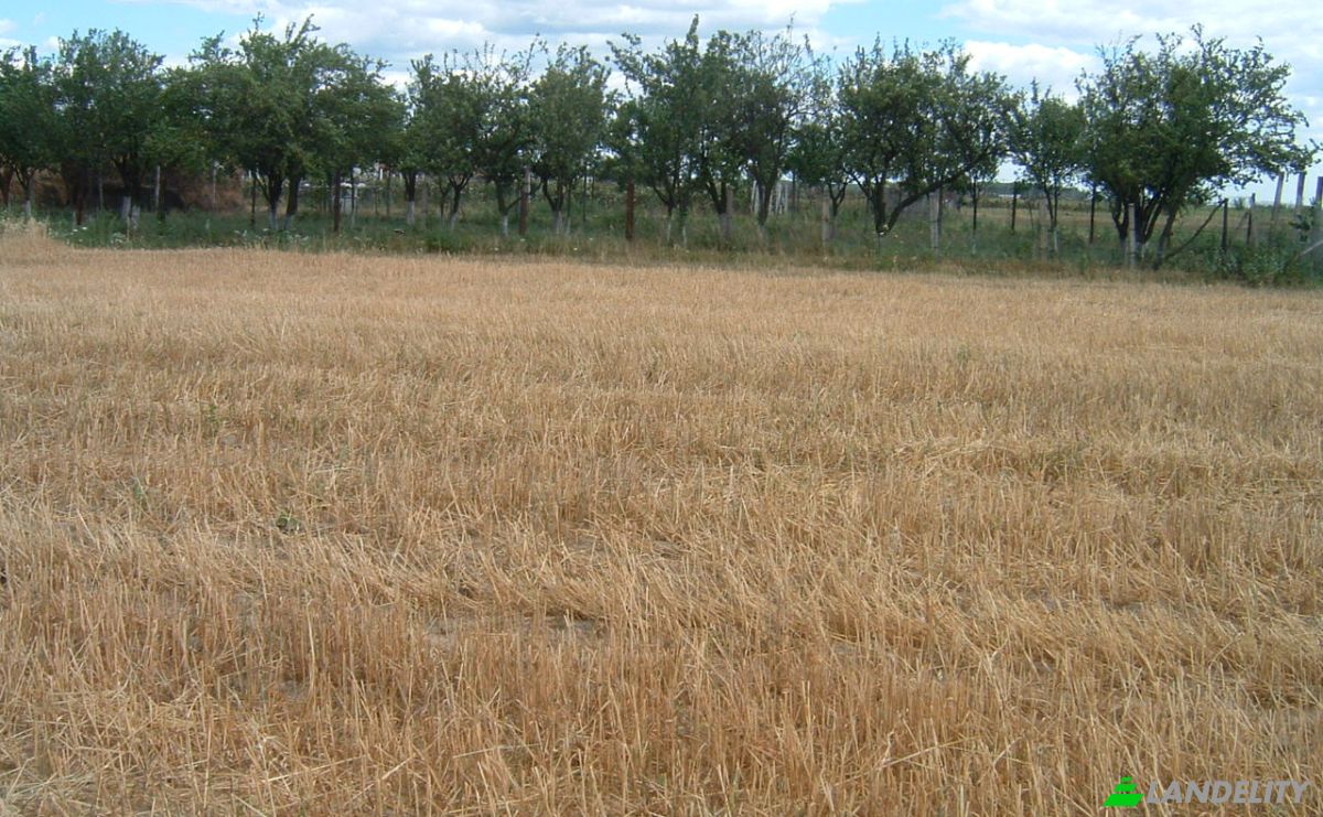 Land Lot for Sale DC40 355, 137120 Bungetu, Bungetu, Vacaresti, Dambovita, Romania. Photo 2