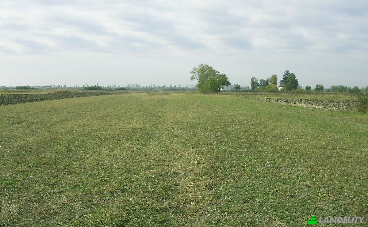 Land Lot for Sale DC40 355, 137120 Bungetu, Bungetu, Vacaresti, Dambovita, Romania. Photo 3