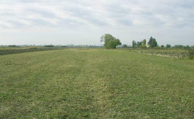 Land Lot for Sale DC40 355, 137120 Bungetu. Photo#3 Land Lot for Sale DC40 355, 137120 Bungetu. Photo#3