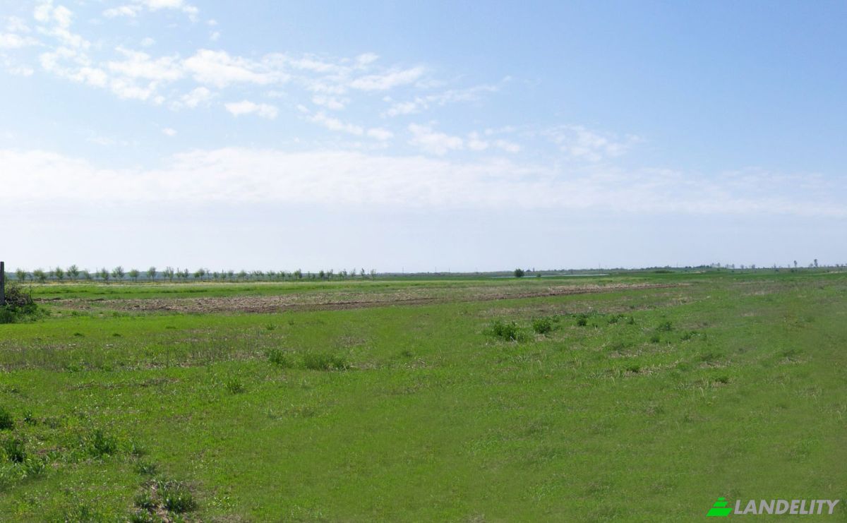 Land Lot for Sale DC40 355, 137120 Bungetu, Bungetu, Vacaresti, Dambovita, Romania. Photo 4
