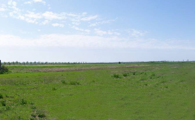 Land Lot for Sale DC40 355, 137120 Bungetu. Photo#4 Land Lot for Sale DC40 355, 137120 Bungetu. Photo#4