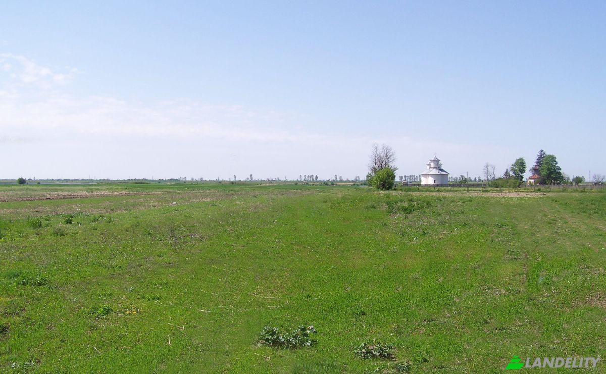 Villa for Sale DC40 350, 137120 Bungetu, Bungetu, Vacaresti, Dambovita, Romania. Photo 4