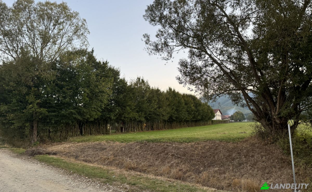 Земельна ділянка продаж Strada Curatele, 555300, Cisnadie, Sadu, Sibiu, Romania. Фото 1