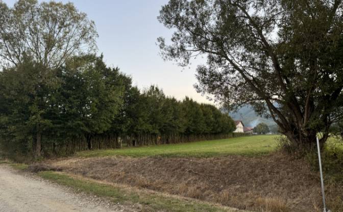 Land Lot for Sale - Cisnadie, Romania