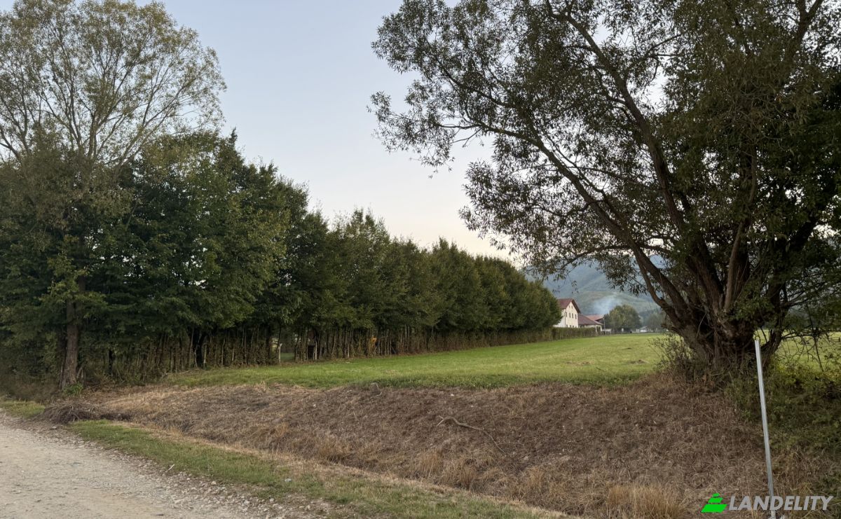 Земельна ділянка продаж Strada Curatele, 555300, Cisnadie, Sadu, Sibiu, Romania. Фото 7