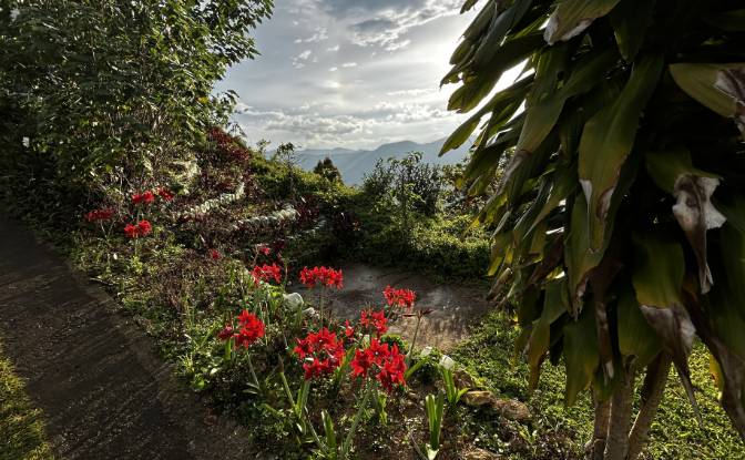 Особняк продаж B412, Kumbaloluwa, Nuwara Eliya. Фото#19