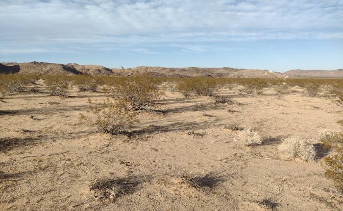 Land Lot for Sale - Joshua Tree, United States