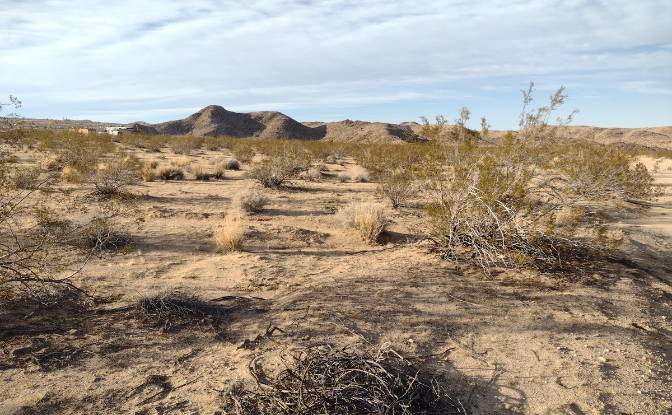 Land Lot for Sale 63682 Broadway, Joshua Tree. Photo#15 Land Lot for Sale 63682 Broadway, Joshua Tree. Photo#15