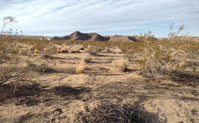 Land Lot for Sale 63682 Broadway, Joshua Tree. Photo#16 Land Lot for Sale 63682 Broadway, Joshua Tree. Photo#16