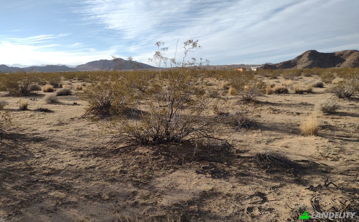 Land Lot for Sale 63682 Broadway, Joshua Tree, San Bernardino County, California, United States, CA 92252, USA. Photo 17